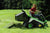 ETESIA Bahia MHHE2 Riding Mower