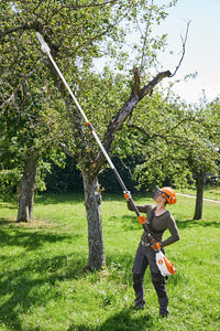 STIHL HTA 135 Cordless Pole Pruner